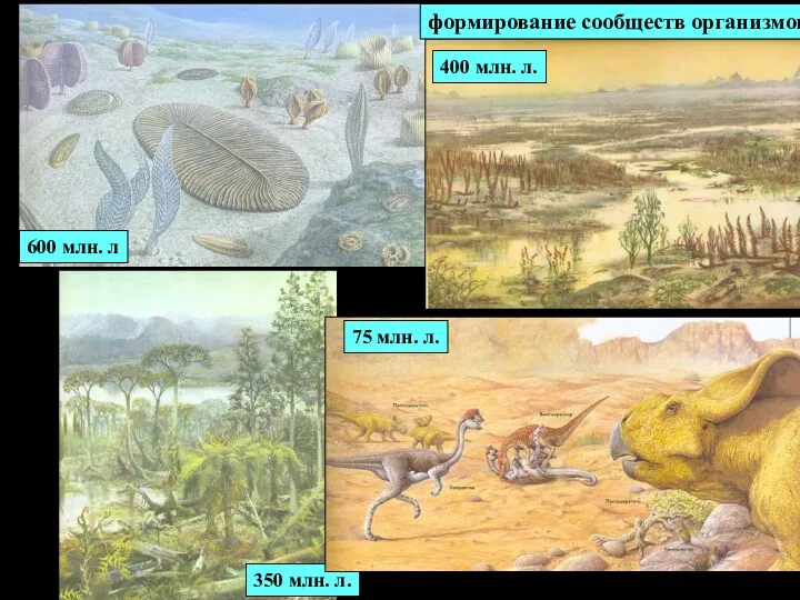 формирование сообществ организмов