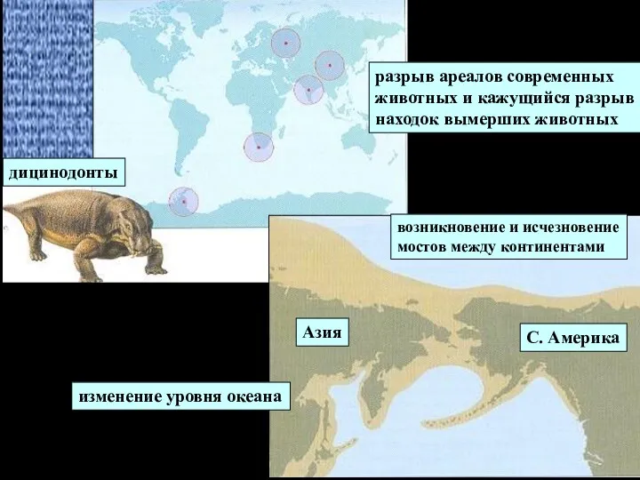 разрыв ареалов современных животных и кажущийся разрыв находок вымерших животных изменение уровня океана