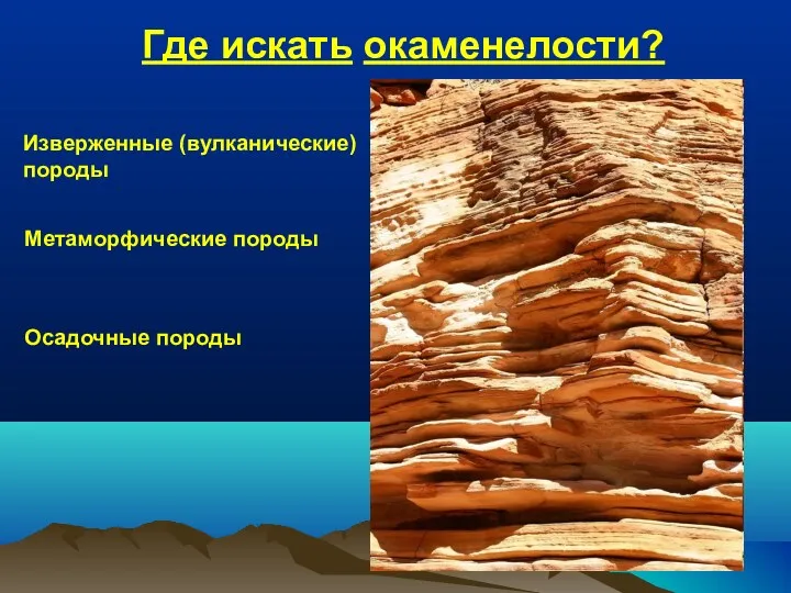 Где искать окаменелости? Изверженные (вулканические) породы Метаморфические породы Осадочные породы