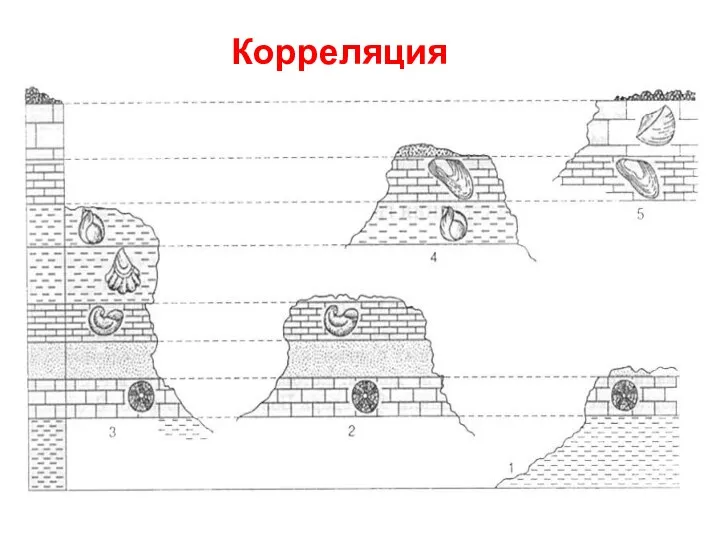 Корреляция