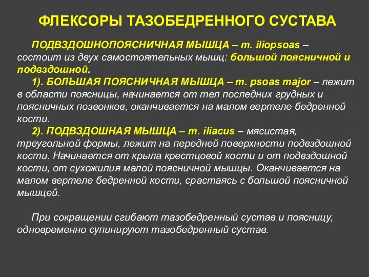 ФЛЕКСОРЫ ТАЗОБЕДРЕННОГО СУСТАВА ПОДВЗДОШНОПОЯСНИЧНАЯ МЫШЦА – m. iliopsoas – состоит