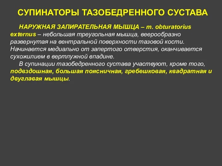 СУПИНАТОРЫ ТАЗОБЕДРЕННОГО СУСТАВА НАРУЖНАЯ ЗАПИРАТЕЛЬНАЯ МЫШЦА – m. obturatorius externus