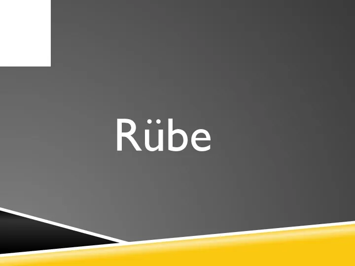 Rübe