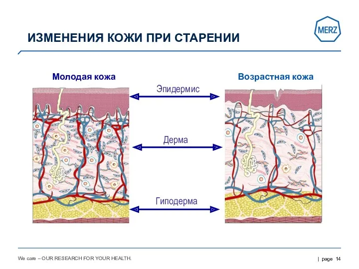 We care – OUR RESEARCH FOR YOUR HEALTH. ИЗМЕНЕНИЯ КОЖИ