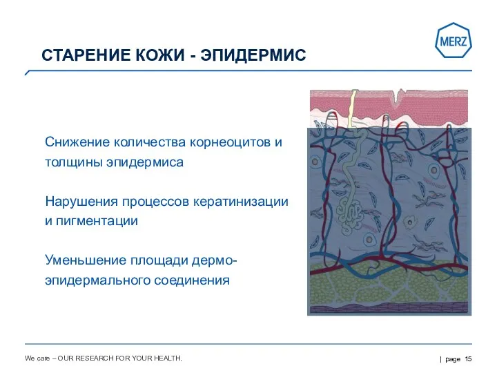 We care – OUR RESEARCH FOR YOUR HEALTH. СТАРЕНИЕ КОЖИ