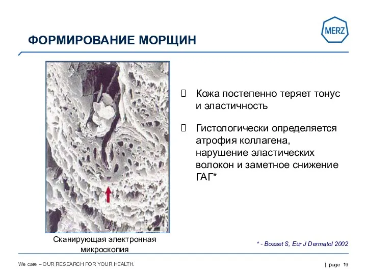 We care – OUR RESEARCH FOR YOUR HEALTH. Кожа постепенно