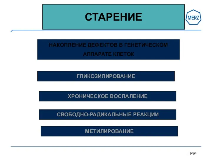 СТАРЕНИЕ НАКОПЛЕНИЕ ДЕФЕКТОВ В ГЕНЕТИЧЕСКОМ АППАРАТЕ КЛЕТОК ГЛИКОЗИЛИРОВАНИЕ ХРОНИЧЕСКОЕ ВОСПАЛЕНИЕ СВОБОДНО-РАДИКАЛЬНЫЕ РЕАКЦИИ МЕТИЛИРОВАНИЕ