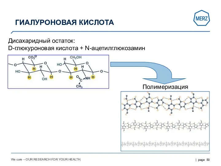 We care – OUR RESEARCH FOR YOUR HEALTH. Дисахаридный остаток: