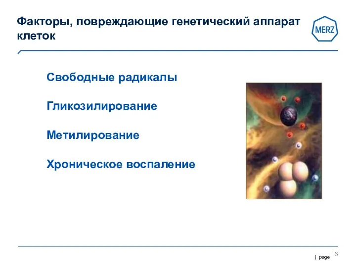 Факторы, повреждающие генетический аппарат клеток Свободные радикалы Гликозилирование Метилирование Хроническое воспаление