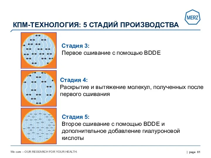 We care – OUR RESEARCH FOR YOUR HEALTH. Стадия 3: