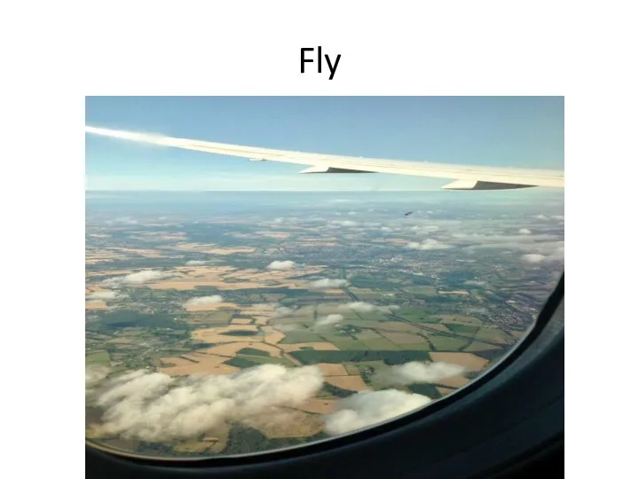 Fly