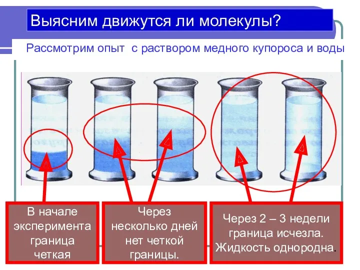 Через несколько дней нет четкой границы. В начале эксперимента граница