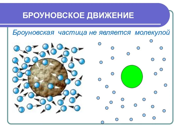 БРОУНОВСКОЕ ДВИЖЕНИЕ Броуновская частица не является молекулой