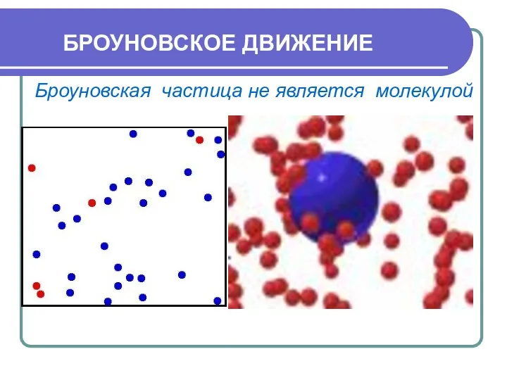 БРОУНОВСКОЕ ДВИЖЕНИЕ Броуновская частица не является молекулой