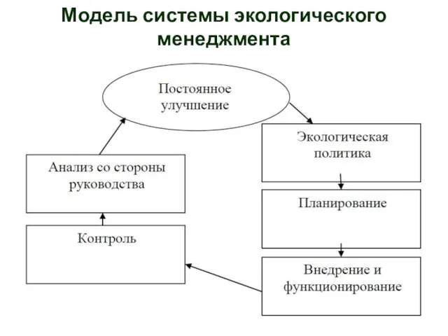 Модель системы экологического менеджмента
