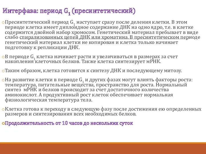 Интерфаза: период G1 (пресинтетический) Пресинтетический период G1 наступает сразу после