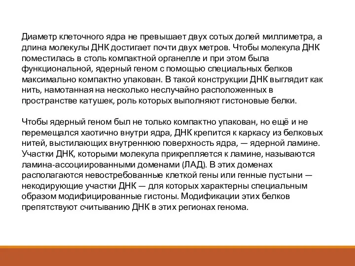 Диаметр клеточного ядра не превышает двух сотых долей миллиметра, а