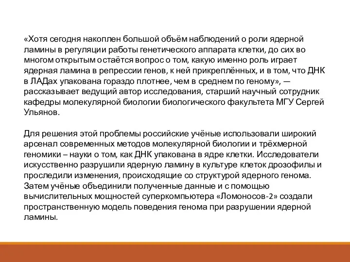 «Хотя сегодня накоплен большой объём наблюдений о роли ядерной ламины