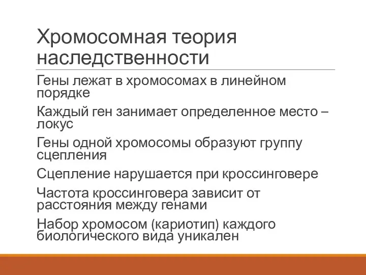 Хромосомная теория наследственности Гены лежат в хромосомах в линейном порядке