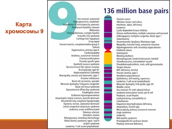 Карта хромосомы 9