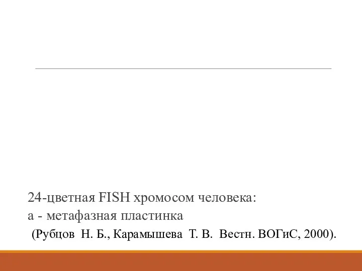 24-цветная FISH хромосом человека: a - метафазная пластинка (Рубцов Н.