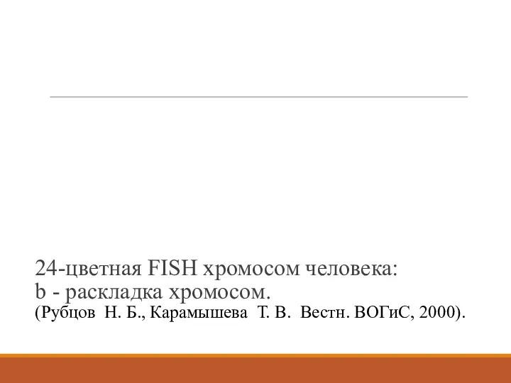 24-цветная FISH хромосом человека: b - pаскладка хромосом. (Рубцов Н.