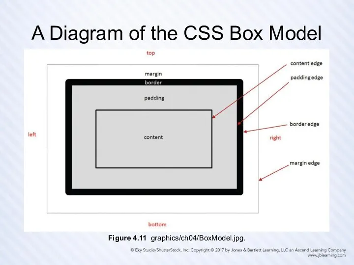 A Diagram of the CSS Box Model Figure 4.11 graphics/ch04/BoxModel.jpg.