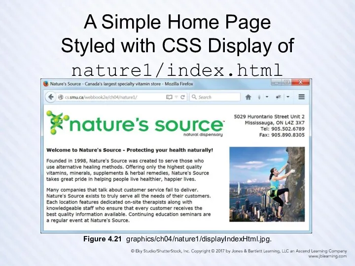 A Simple Home Page Styled with CSS Display of nature1/index.html Figure 4.21 graphics/ch04/nature1/displayIndexHtml.jpg.