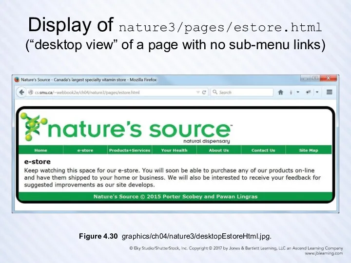 Display of nature3/pages/estore.html (“desktop view” of a page with no sub-menu links) Figure 4.30 graphics/ch04/nature3/desktopEstoreHtml.jpg.