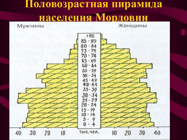 Половозрастная пирамида населения Мордовии