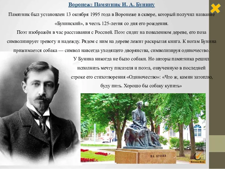 Воронеж: Памятник И. А. Бунину Памятник был установлен 13 октября