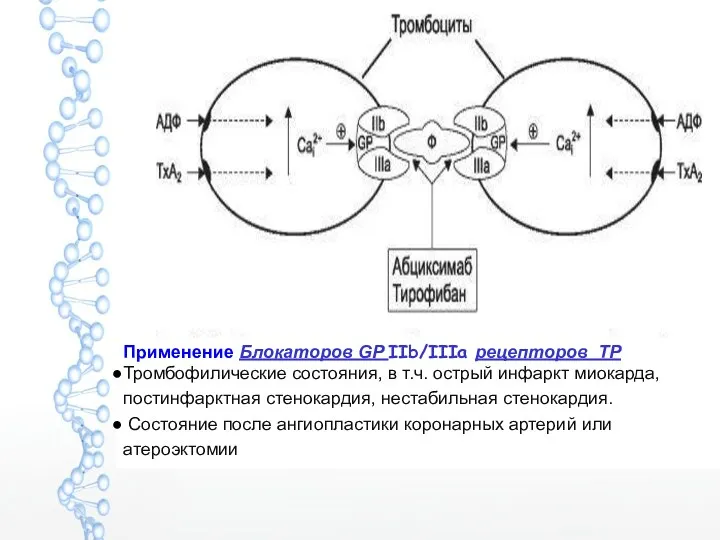 Применение Блокаторов GP IIb/IIIa рецепторов ТР Тромбофилические состояния, в т.ч.