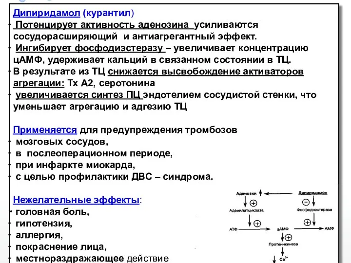 Дипиридамол (курантил) Потенцирует активность аденозина усиливаются сосудорасширяющий и антиагрегантный эффект.