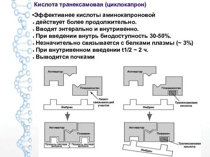 Кислота транексамовая (циклокапрон) Эффективнее кислоты аминокапроновой действует более продолжительно. Вводят