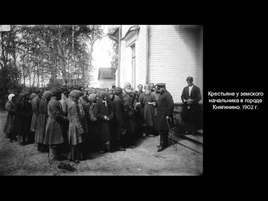 Крестьяне у земского начальника в городе Княгинино. 1902 г.