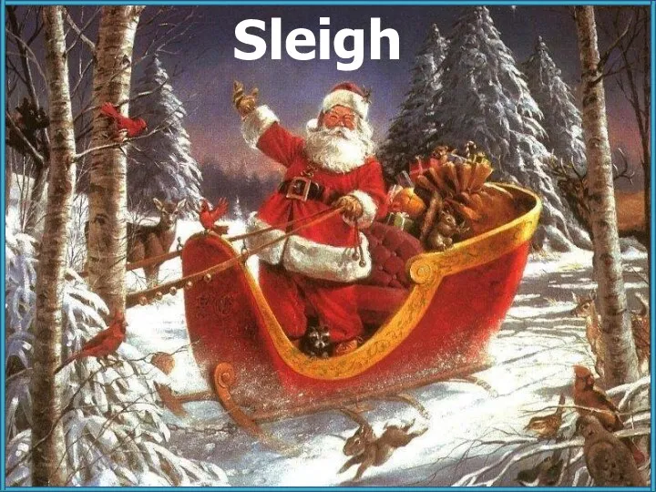 Sleigh