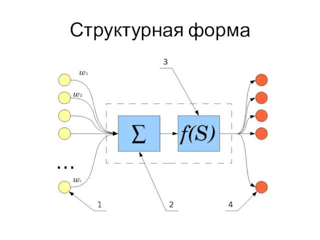 Структурная форма