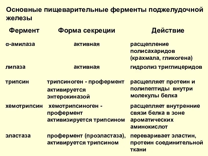 Основные пищеварительные ферменты поджелудочной железы