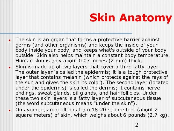 Skin Anatomy The skin is an organ that forms a