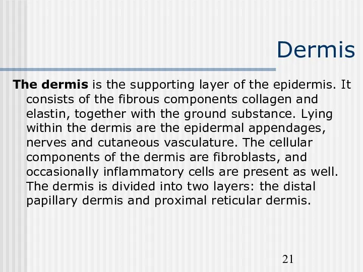 Dermis The dermis is the supporting layer of the epidermis.