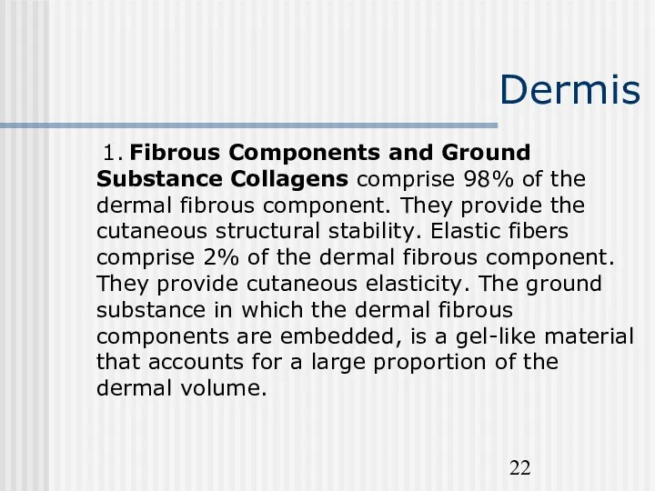 Dermis 1. Fibrous Components and Ground Substance Collagens comprise 98%