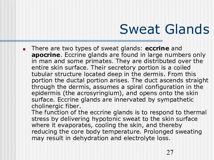 Sweat Glands There are two types of sweat glands: eccrine