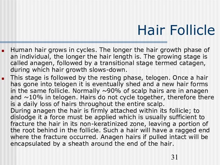 Hair Follicle Human hair grows in cycles. The longer the