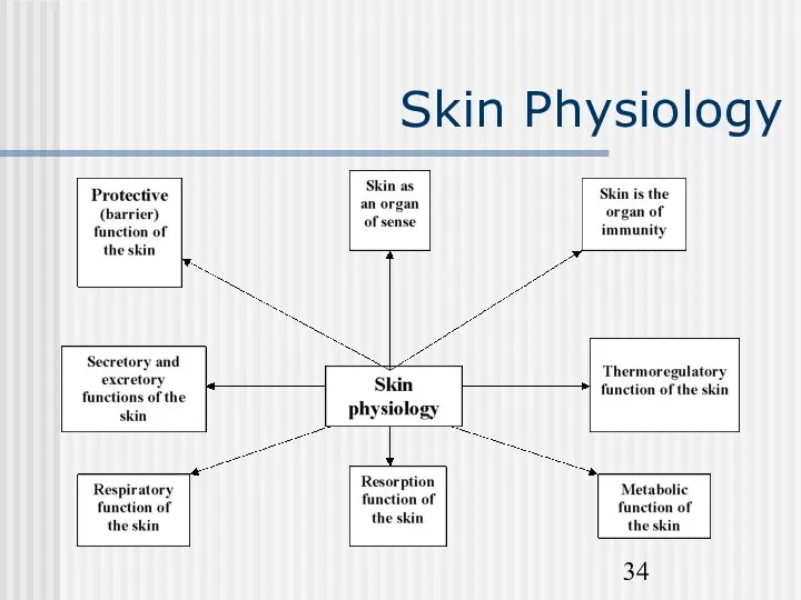 Skin Physiology