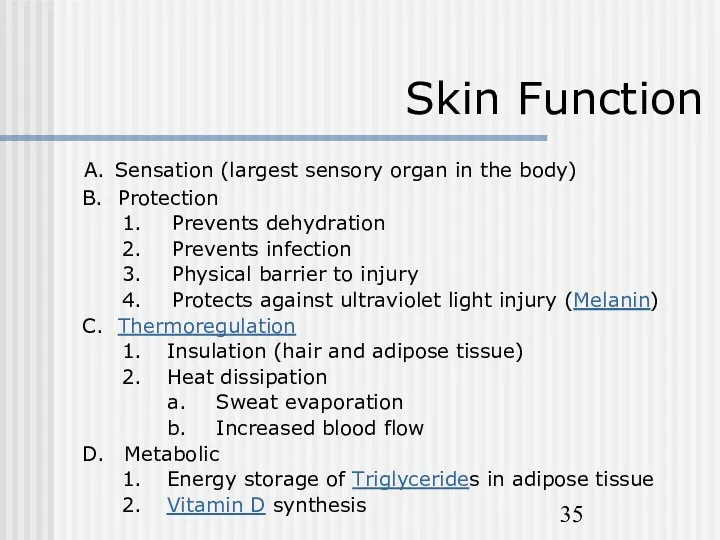 Skin Function A. Sensation (largest sensory organ in the body)