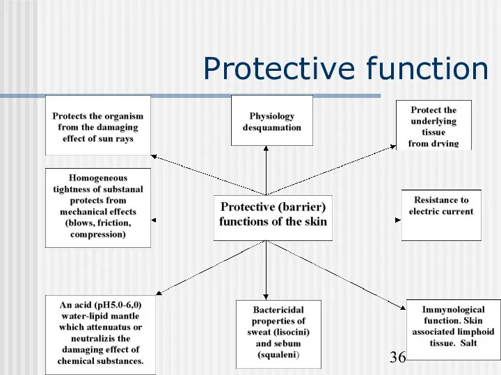 Protective function