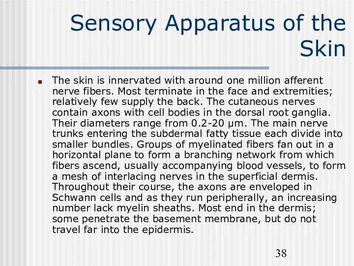 Sensory Apparatus of the Skin The skin is innervated with