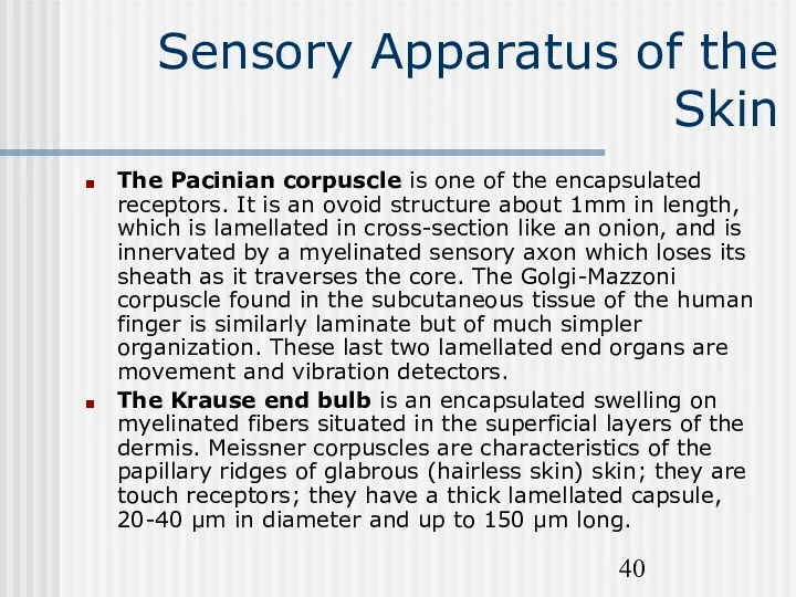 Sensory Apparatus of the Skin The Pacinian corpuscle is one