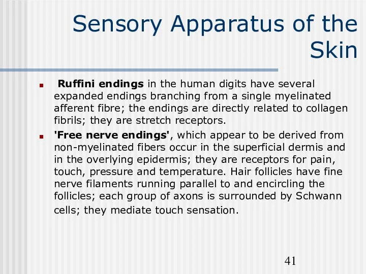 Sensory Apparatus of the Skin Ruffini endings in the human