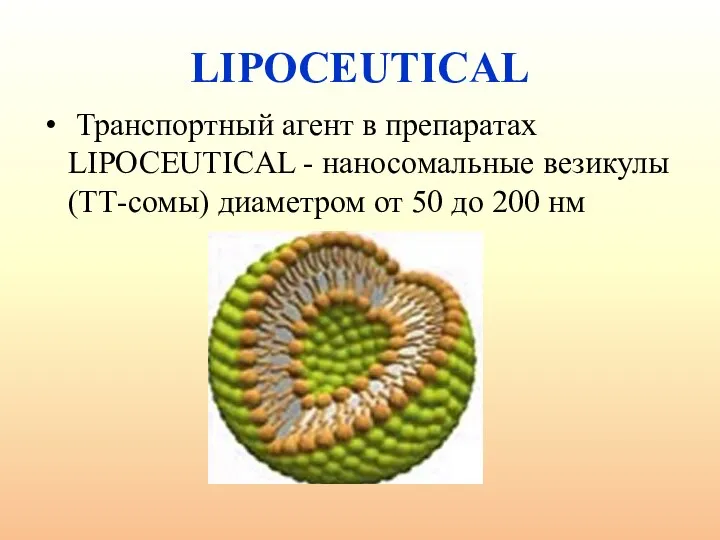 LIPOCEUTICAL Транспортный агент в препаратах LIPOCEUTICAL - наносомальные везикулы (ТТ-сомы) диаметром от 50 до 200 нм